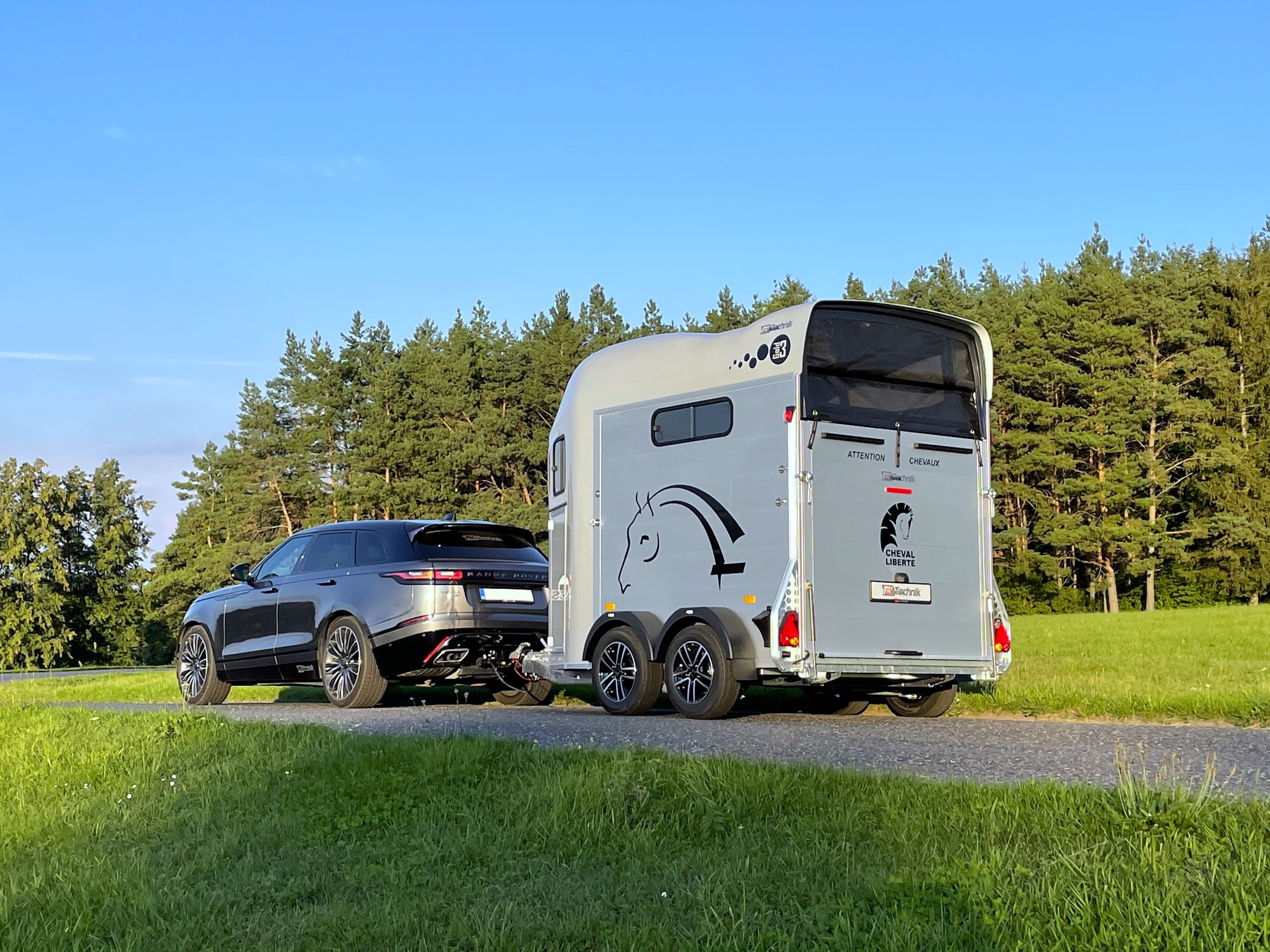 Cheval Liberté Gold 3 grau